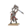 Battle March Army Box: Beastmen Brayherds