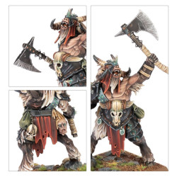 Battle March Army Box: Beastmen Brayherds