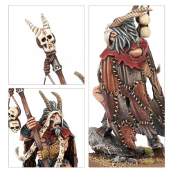 Battle March Army Box: Beastmen Brayherds