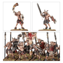 Battle March Army Box: Beastmen Brayherds