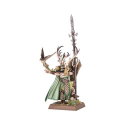 Battle March Army Box: Wood Elf Realms
