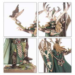 Battle March Army Box: Wood Elf Realms