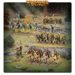 Battle March Army Box: Wood Elf Realms