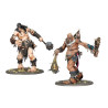 Brawlers of Behemat