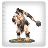 Brawlers of Behemat