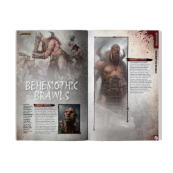 White Dwarf – Issue 529