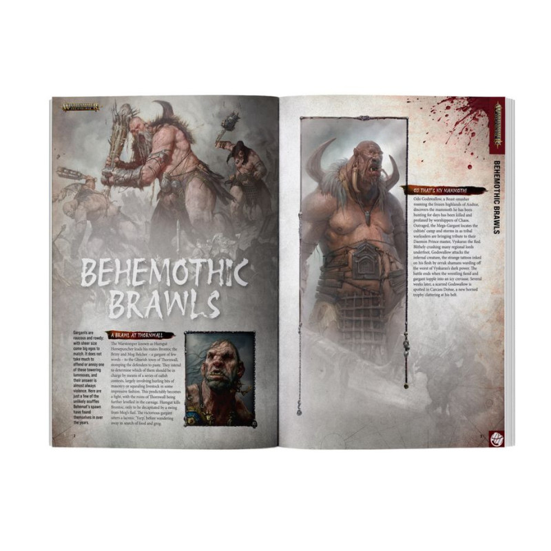 White Dwarf – Issue 529