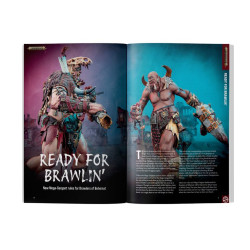 White Dwarf – Issue 529
