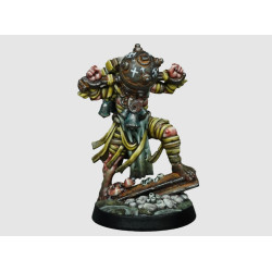 Carcass Front Narrative Campaign Box