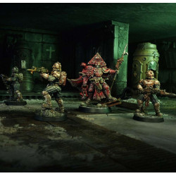 Carcass Front Narrative Campaign Box