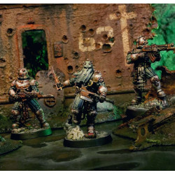 Carcass Front Narrative Campaign Box