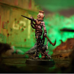 Carcass Front Narrative Campaign Box