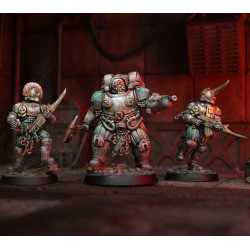 Carcass Front Narrative Campaign Box