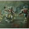 Carcass Front Narrative Campaign Box