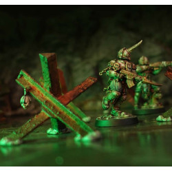 Carcass Front Narrative Campaign Box