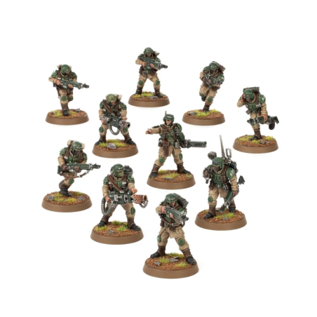 Cadian Shock Troops