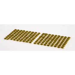 Dry Green 2mm-small