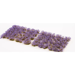 Violet Flowers-Wild