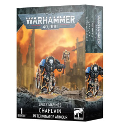 Chaplain in Terminator Armour