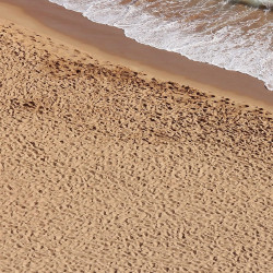 Terrains Beach Sand 250ml