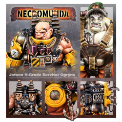 'Jotunn' H-Grade Industrial Servitor Ogryns