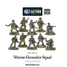 Veteran Grenadiers Squad