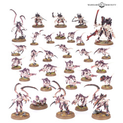 Battleforce: Tyranid Swarm