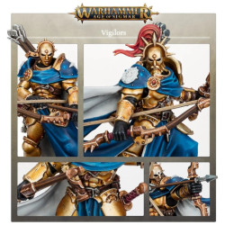 Vigilors