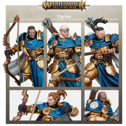 Vigilors
