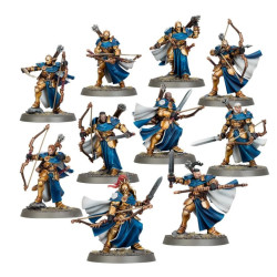 Vigilors