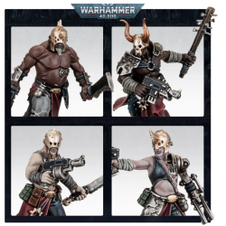 Chaos Cultists