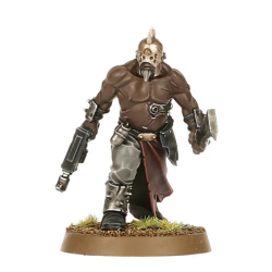 Chaos Cultists