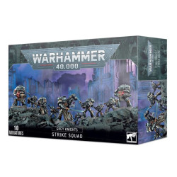 Grey Knights Strike Squad