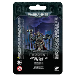 Grand Master Voldus