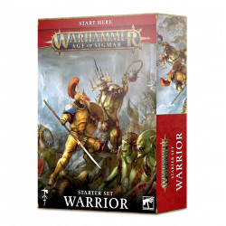 Age Of Sigmar: Warrior