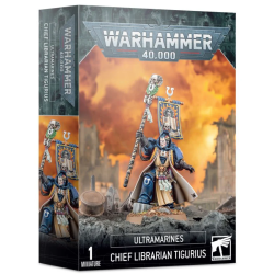 Chief Librarian Tigurius