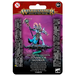 Tzaangor Shaman