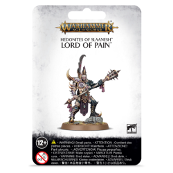 Lord of Pain