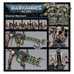 Necron Warriors