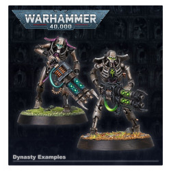 Necron Warriors